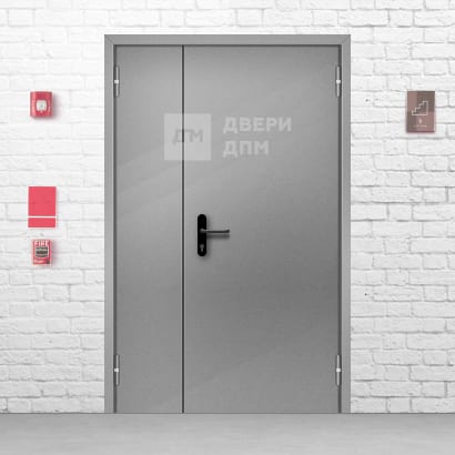 Полуторная ДПМ-02 1-го типа противопожарная дверь глухая 1000×2100 мм
